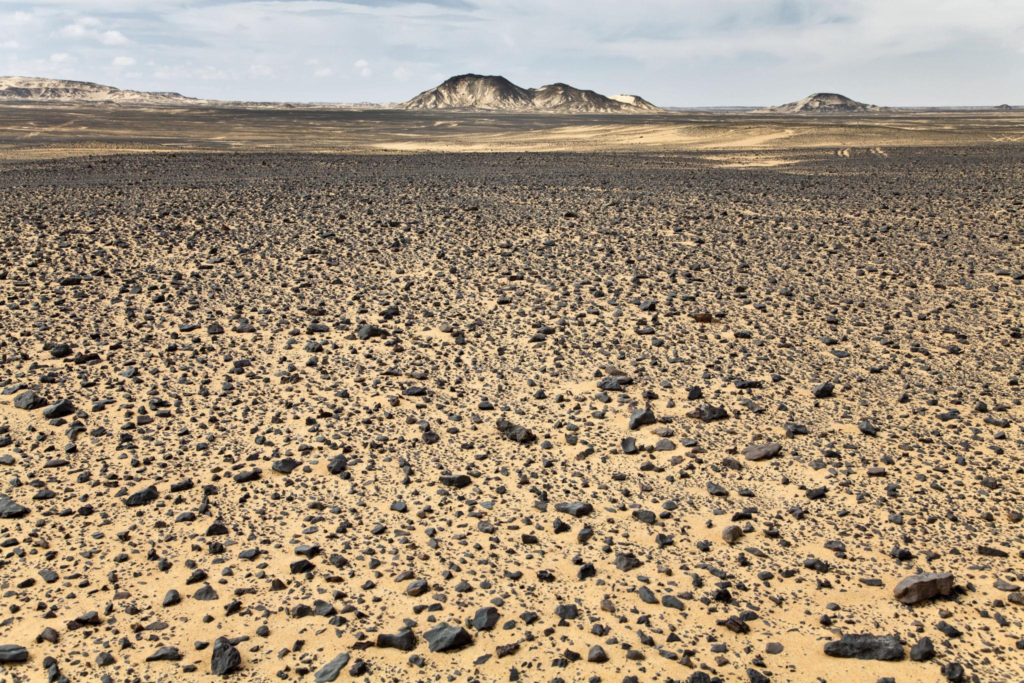 Vast rocky plain covered in dark basalt stones stretching toward volcanic hills in the Black Desert