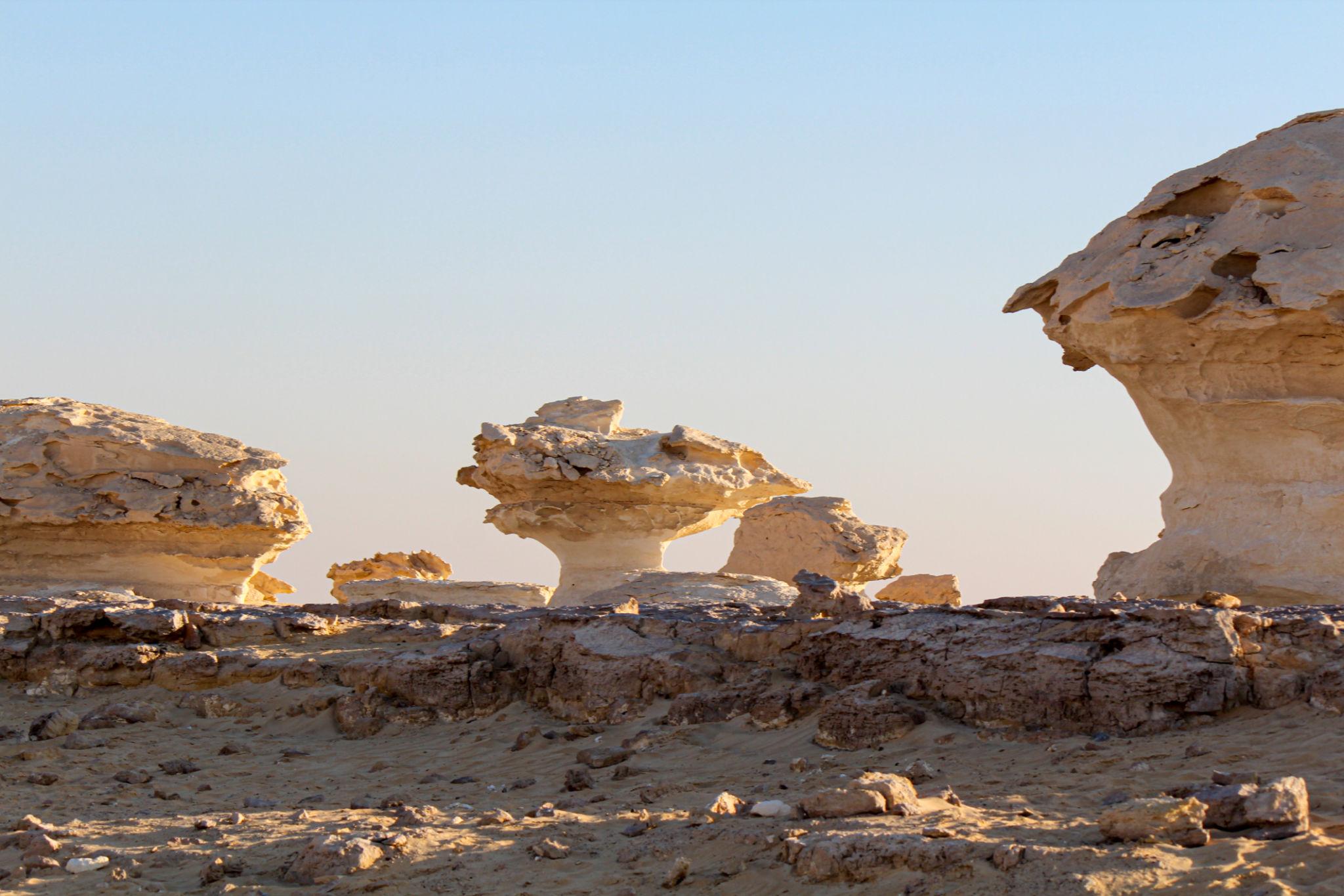 Wind-sculpted white chalk mushroom rock formations at sunset in Egypts White Desert