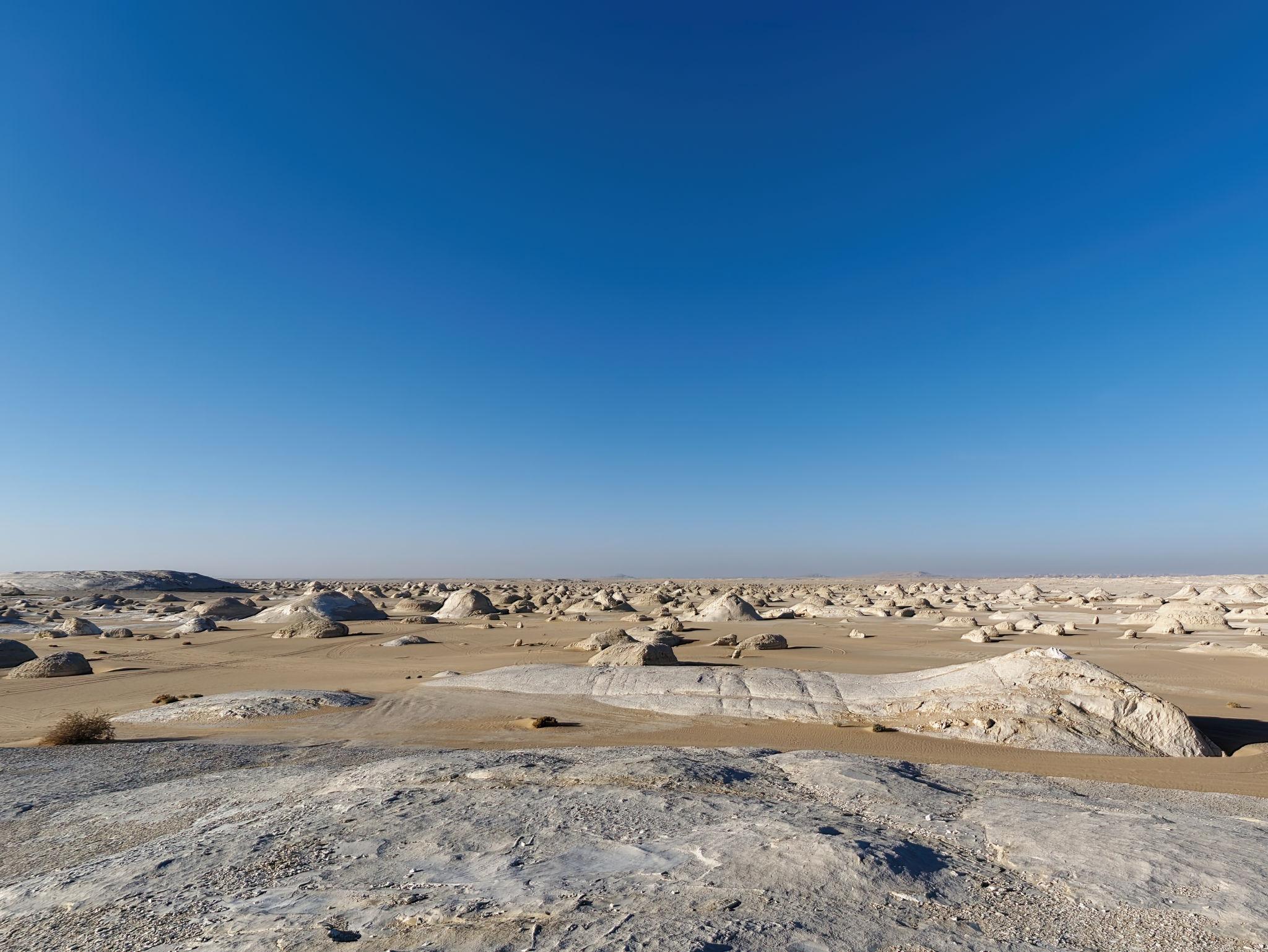 Scattered white chalk rock formations across a vast sandy desert under a clear blue sky
