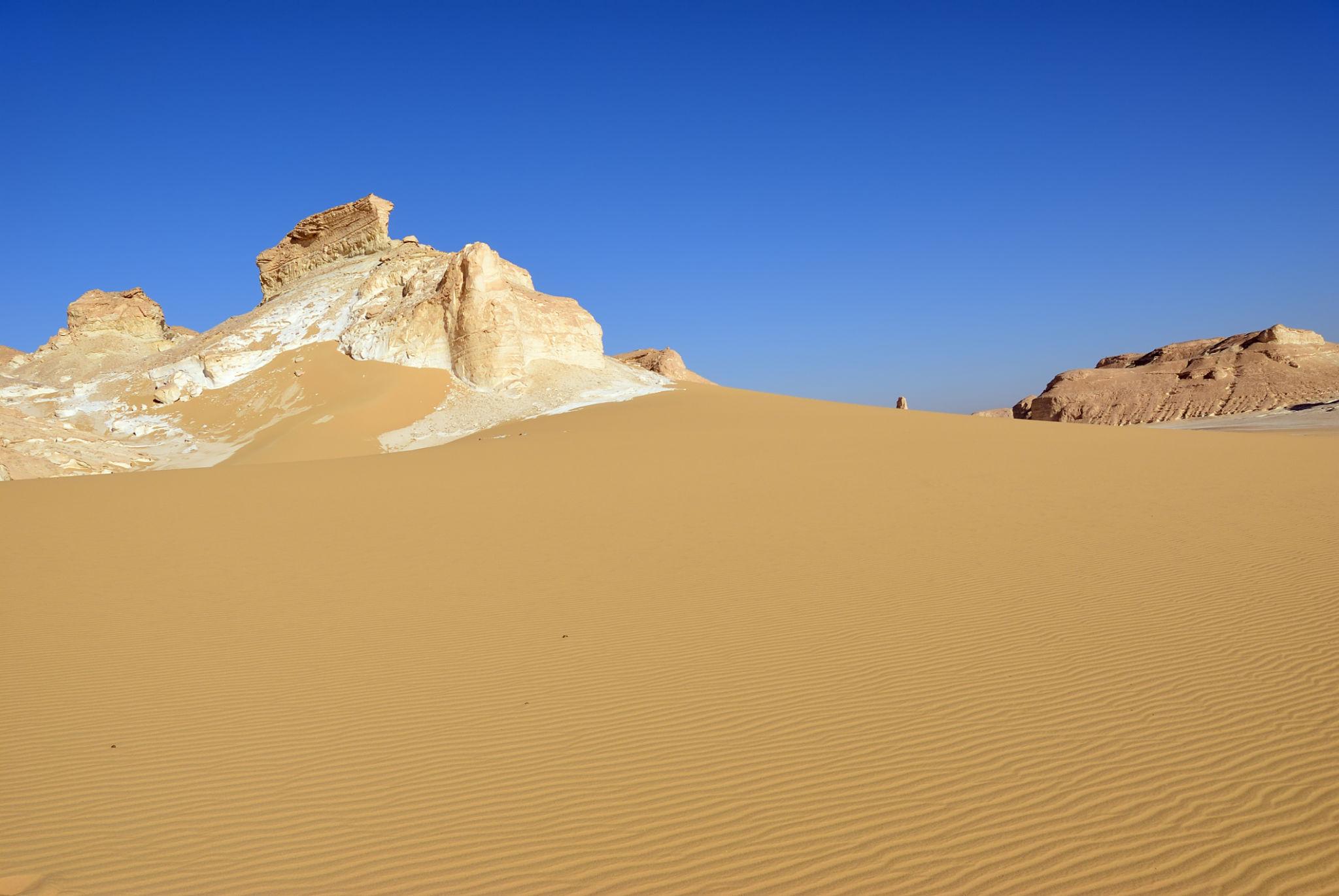 Golden sand dunes sweep past eroded white limestone rock formations under a clear blue sky.