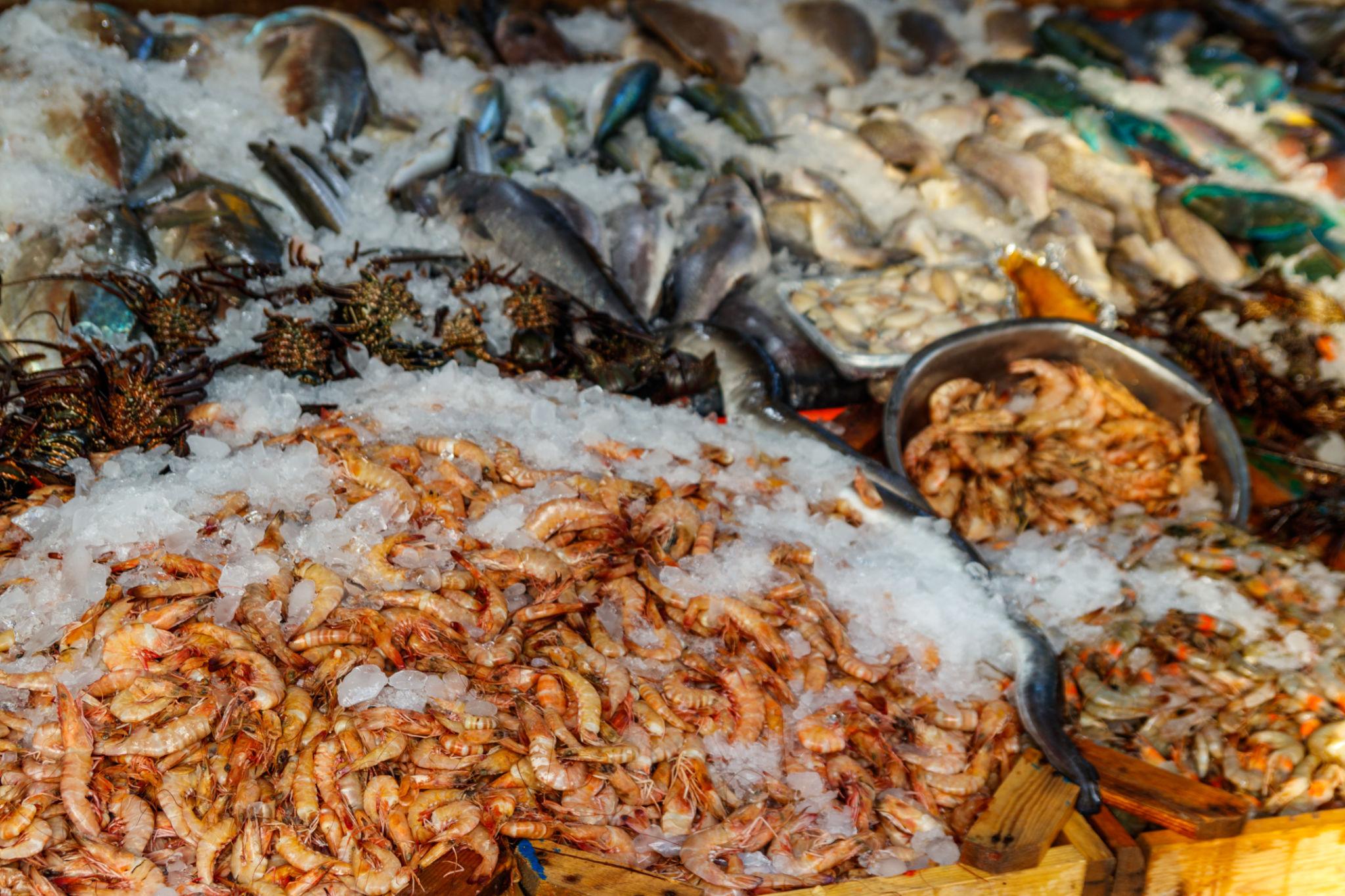 Piles of fresh shrimp, mussels, and fish displayed on crushed ice at a Red Sea market