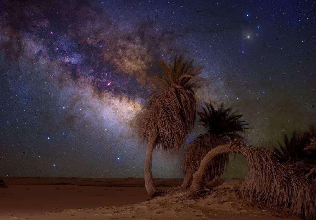 Palm trees silhouetted against a vivid Milky Way galaxy over desert sands at night