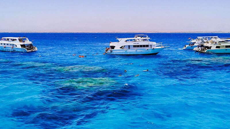 Tourists snorkeling around coral reefs beside white tour boats on vivid blue Red Sea water