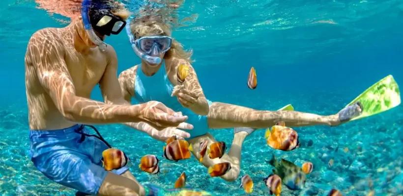 Two snorkelers underwater feeding colorful tropical fish in the clear Red Sea