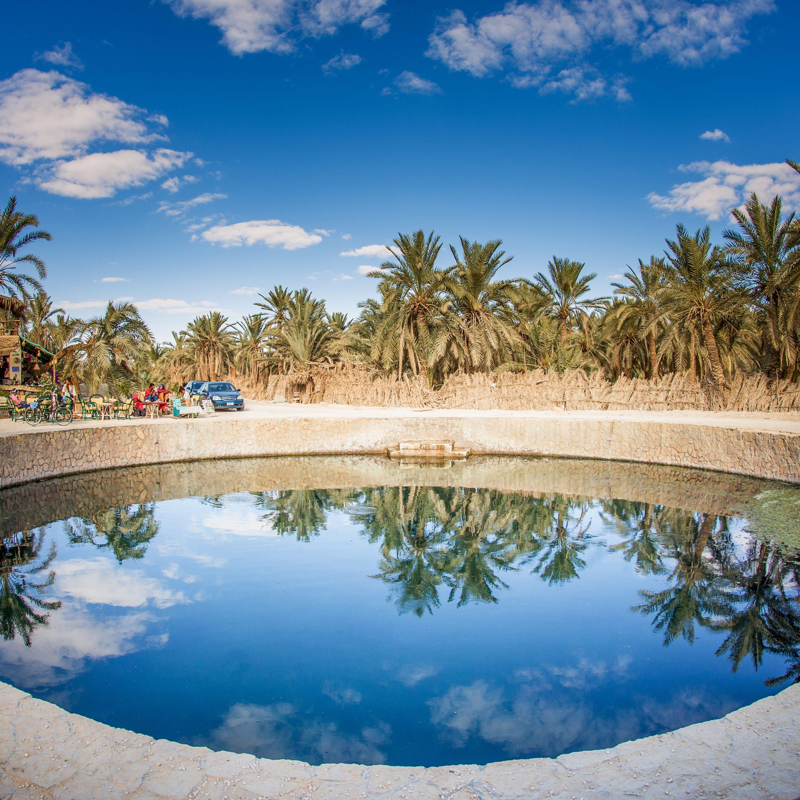 A circular natural spring pool reflecting palm trees and blue sky in Siwa Oasis