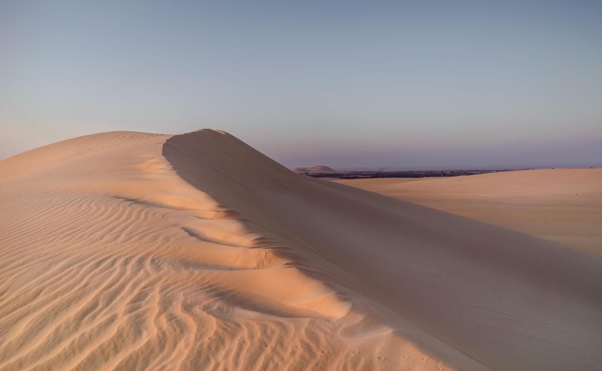 Sweeping golden sand dunes with a sharp shadowed ridge at sunset in Siwa Oasis