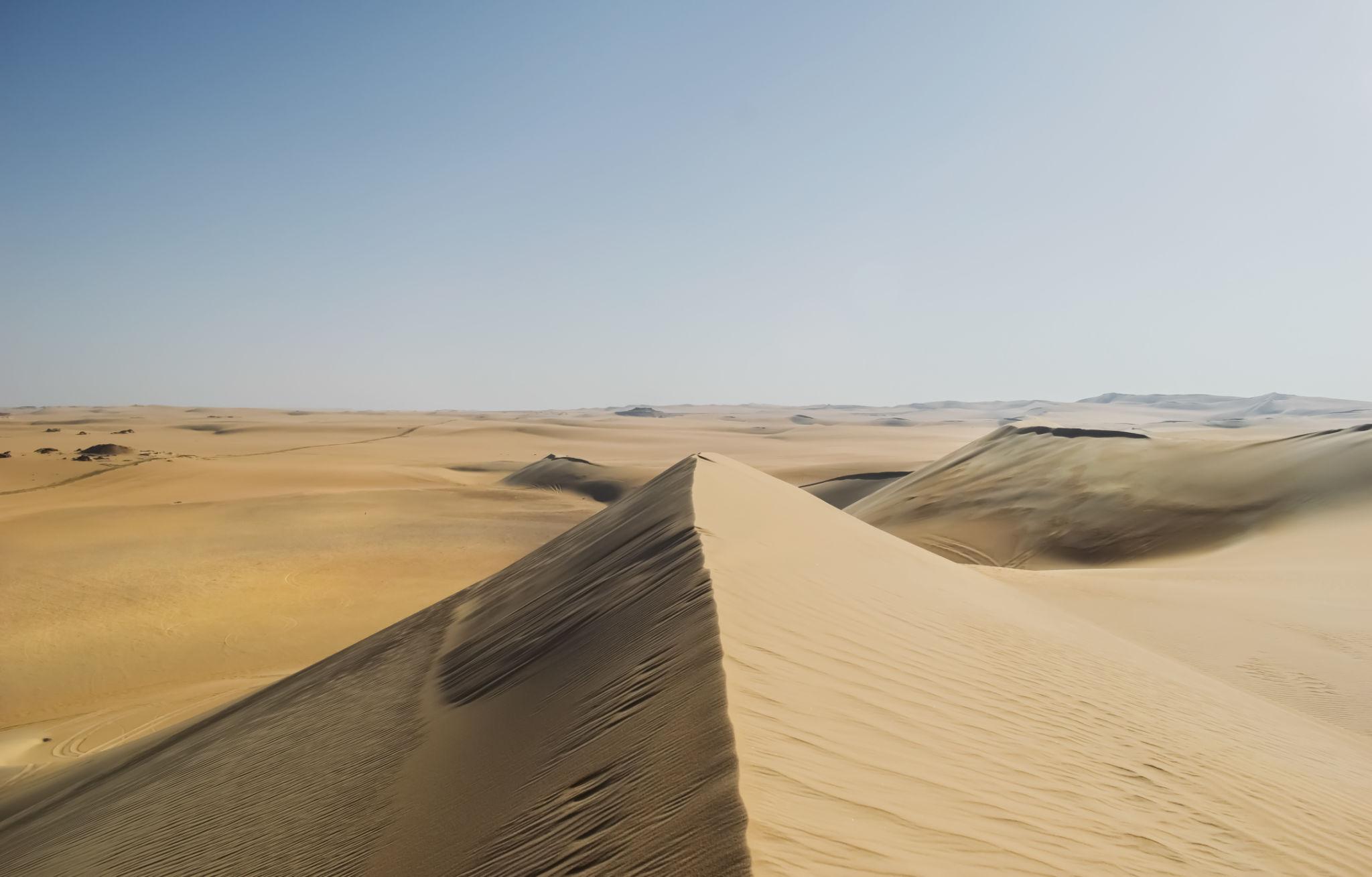 Vast Great Sand Sea dunes stretching to the horizon near Siwa