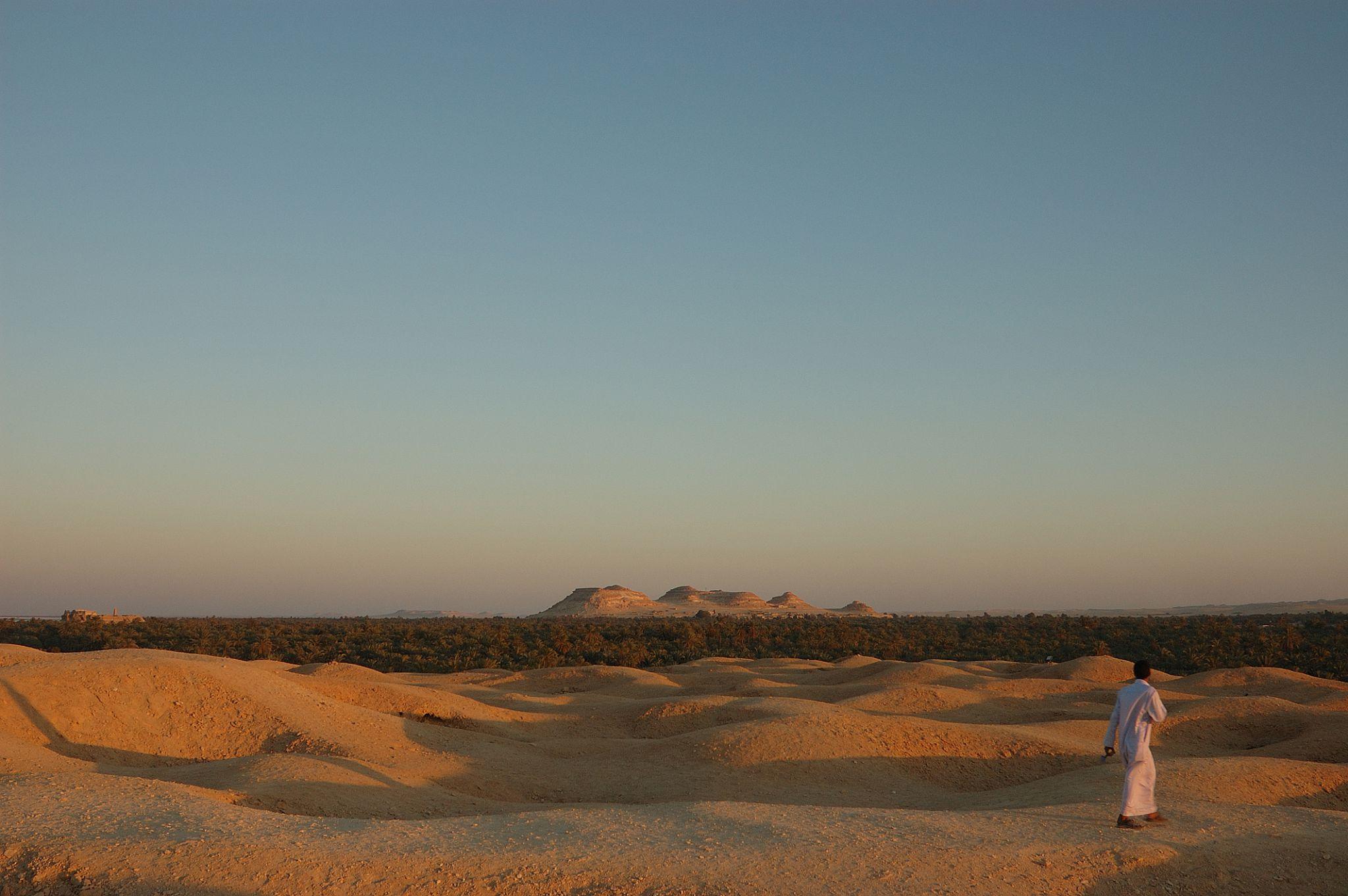 Man in white robe walking on desert hills above Siwa palm groves