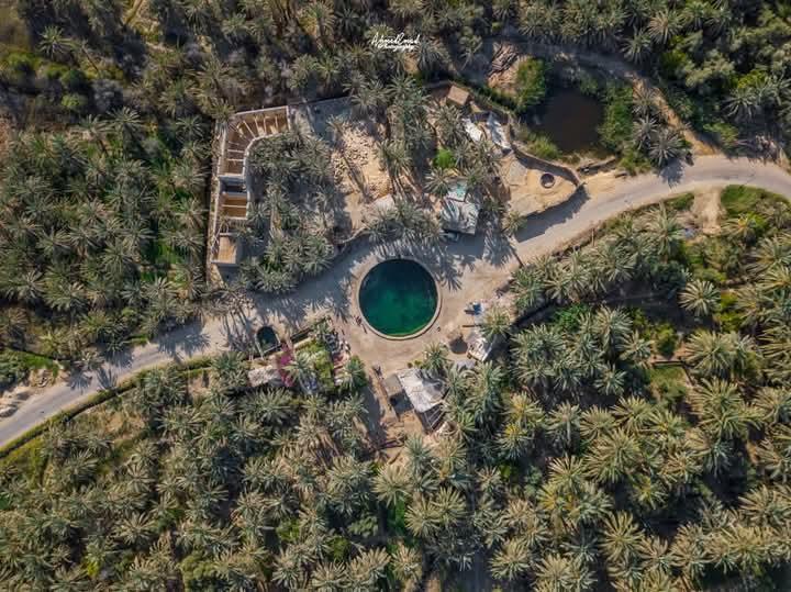 Aerial view of a circular turquoise natural spring surrounded by dense date palm trees in Siwa Oasis