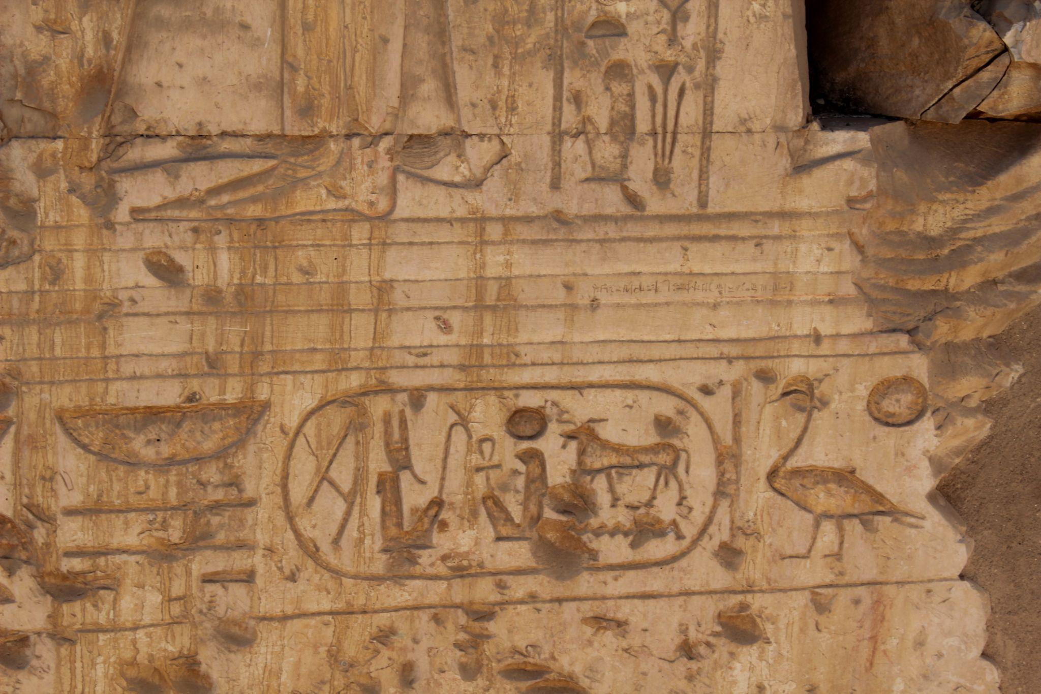 Royal cartouche carved into a temple wall at Abydos.