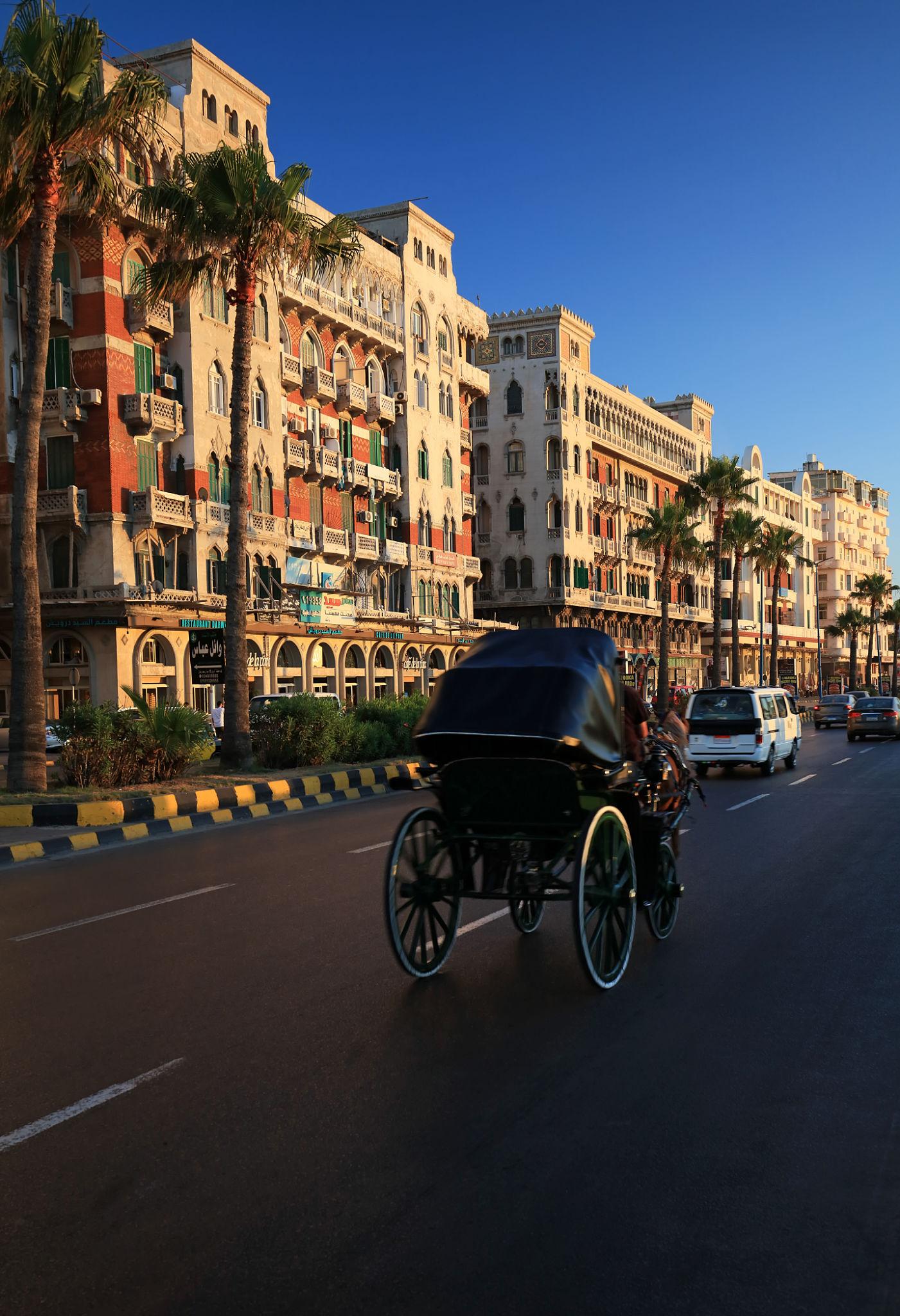 Horse-drawn carriage passing historic waterfront buildings along Alexandria's Corniche in warm afternoon light