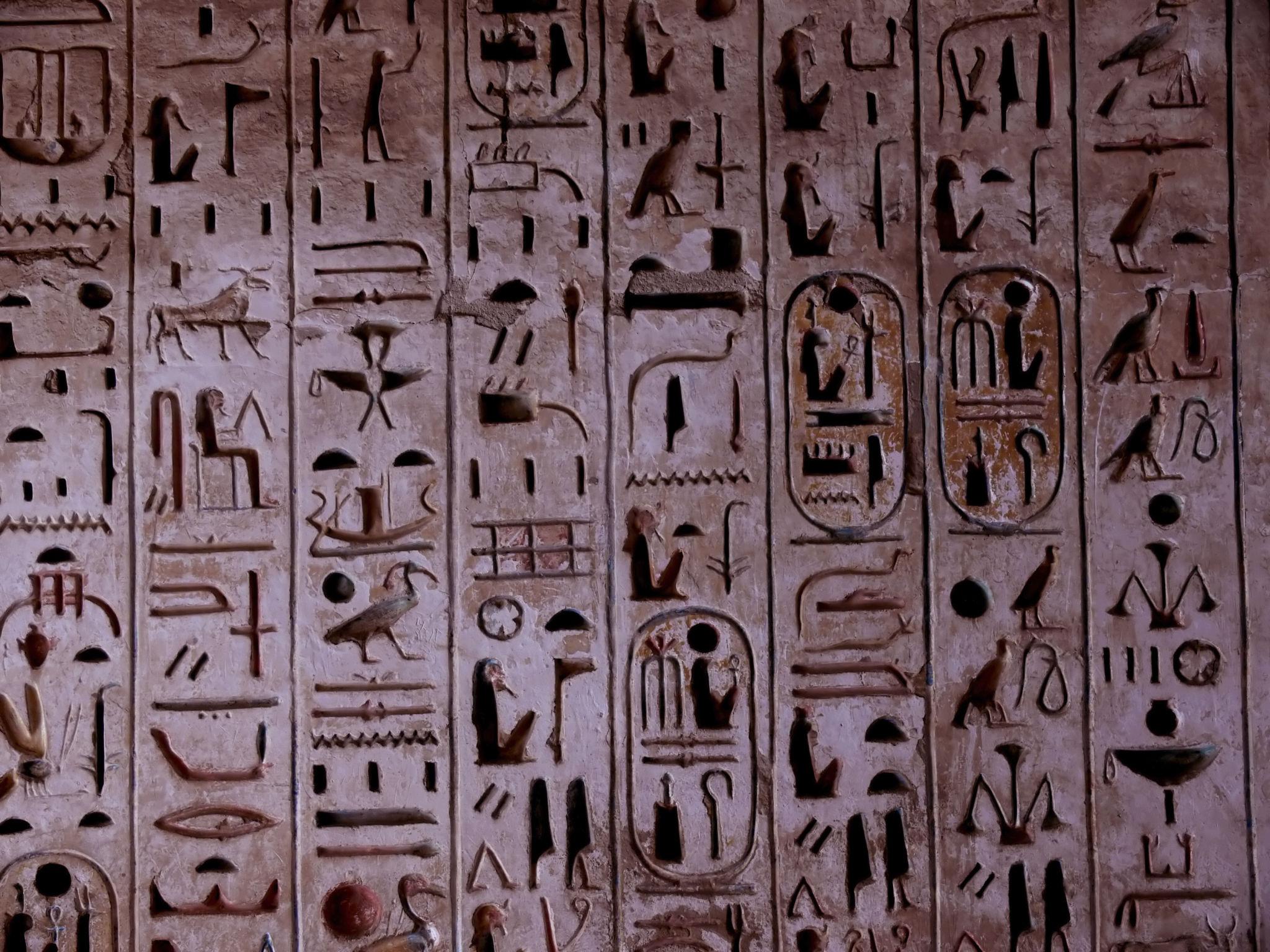 Closeup of deeply carved hieroglyphs covering a wall at the Temple of Edfu.