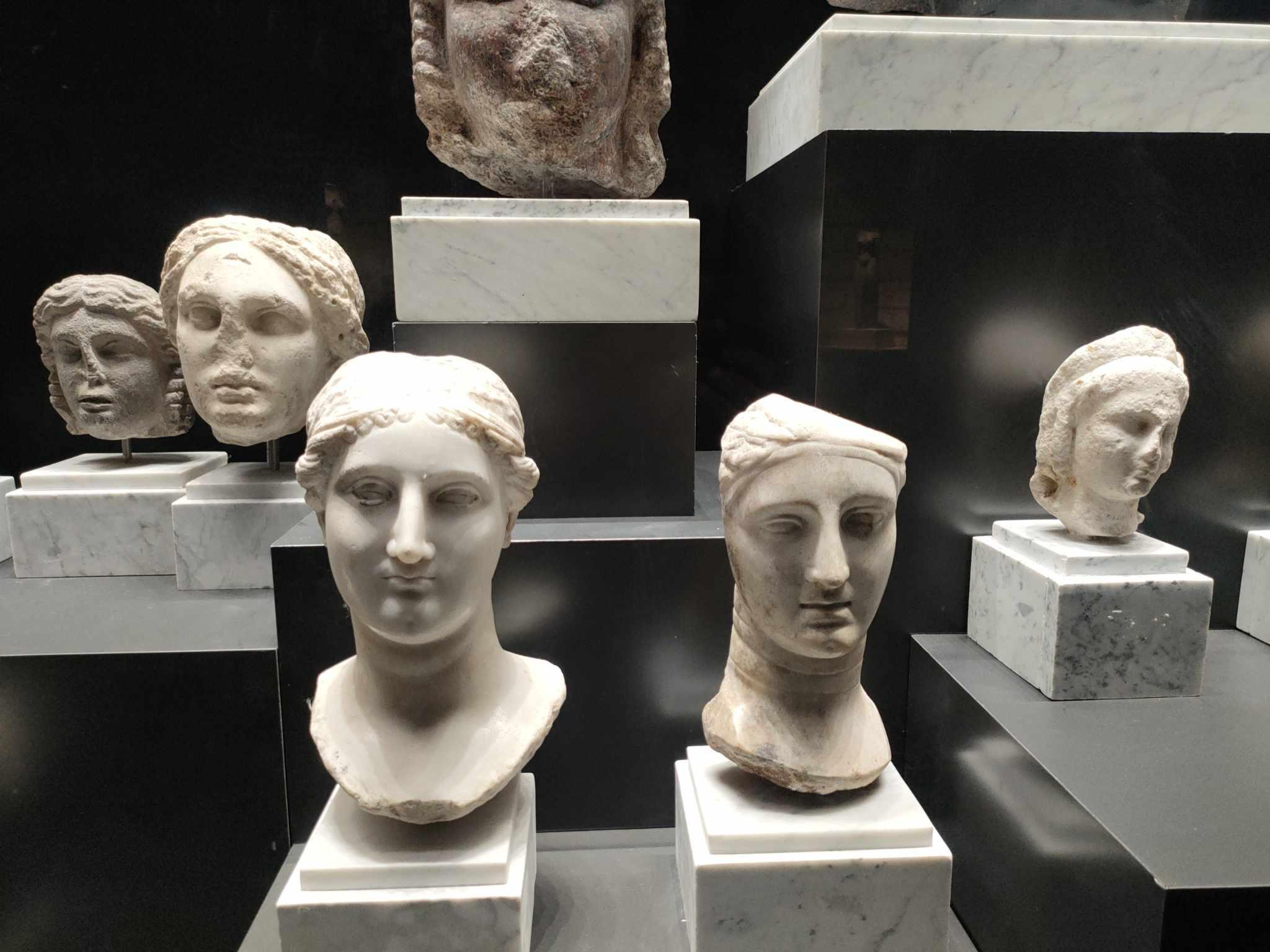 Collection of marble Greco-Roman portrait heads mounted on pedestals in gallery vitrine