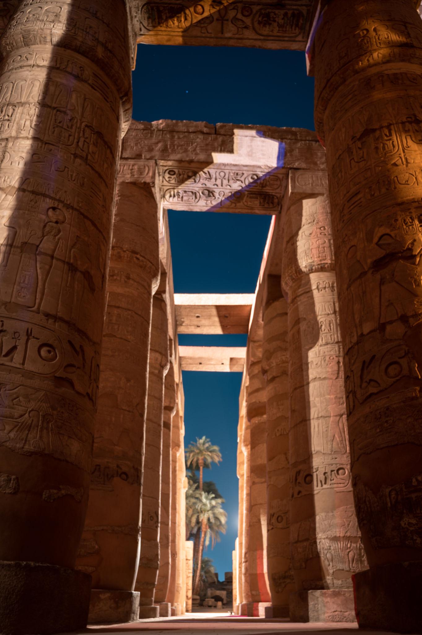 Hieroglyphic columns and architrave framing a palm tree at Karnak Temple