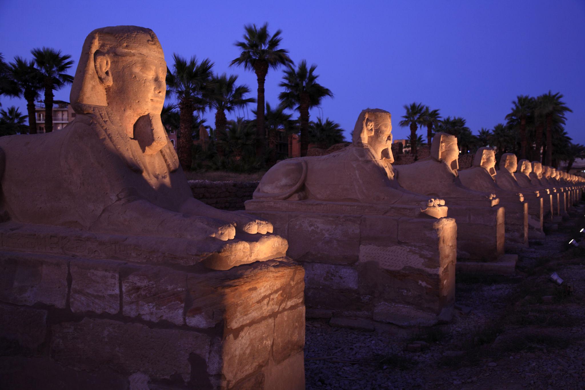 Row of human-headed sphinx statues along the processional avenue at twilight