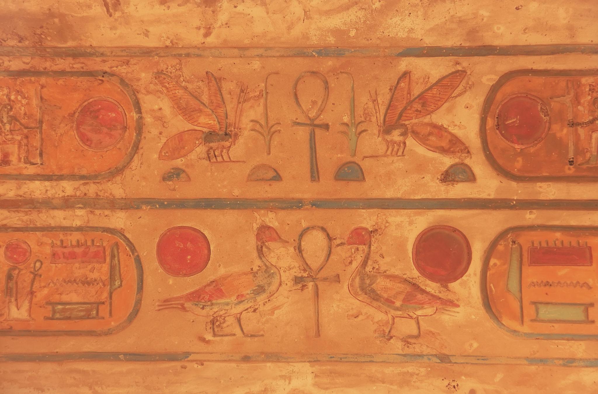 Colorful painted hieroglyphic relief with ankh and bird symbols at Karnak