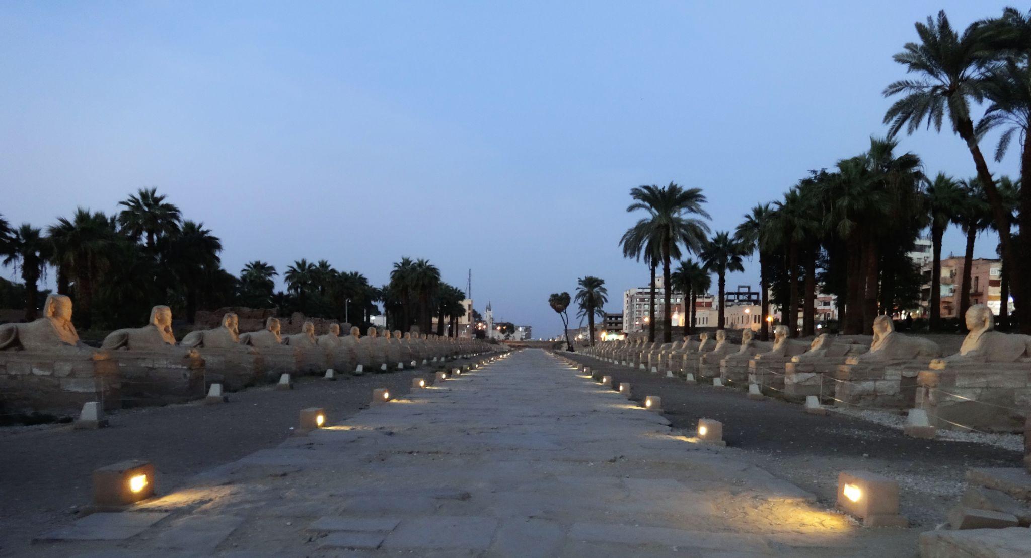 Avenue of sphinxes stretching between rows of palm trees at dusk