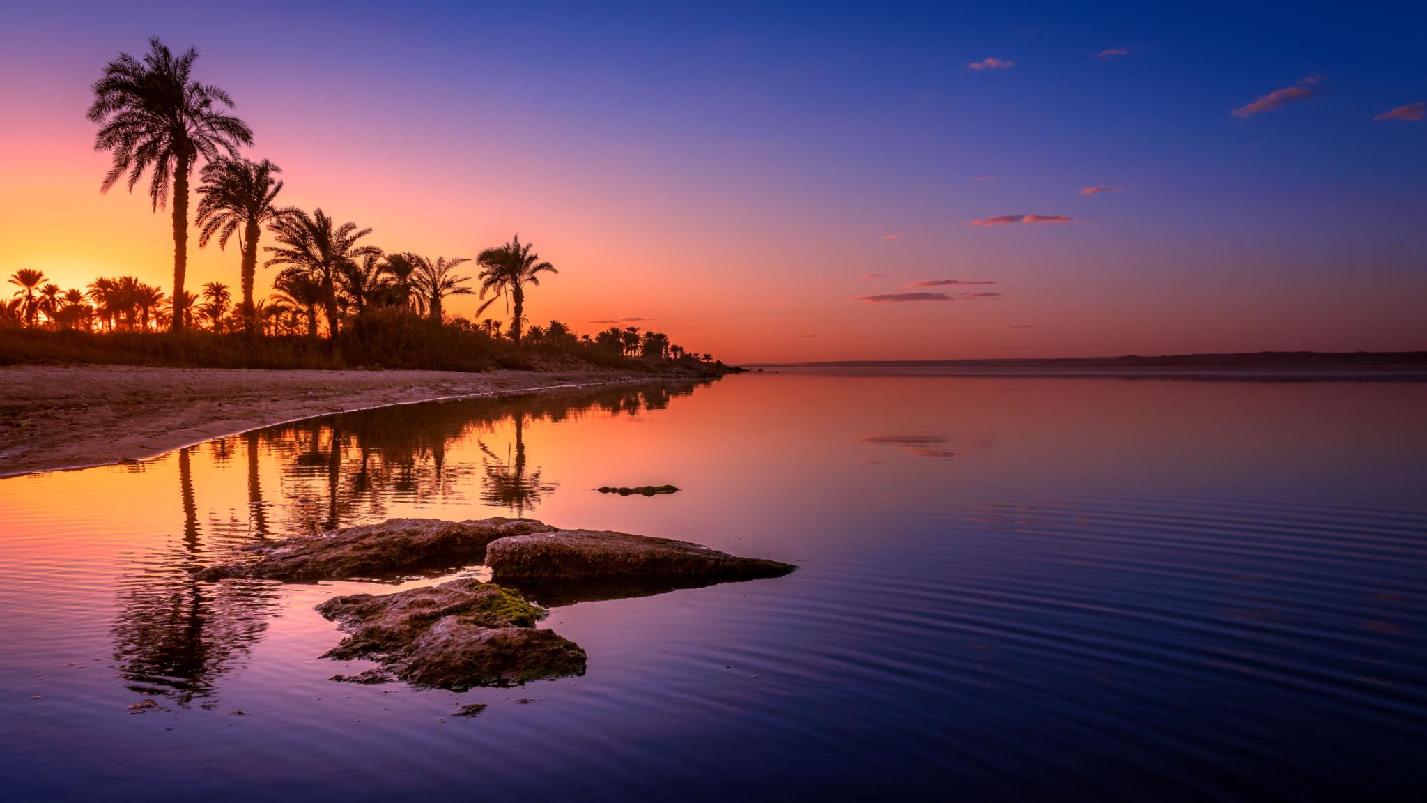 Palm tree silhouettes and glowing sunset reflected on the still waters of Lake Qarun, Fayoum