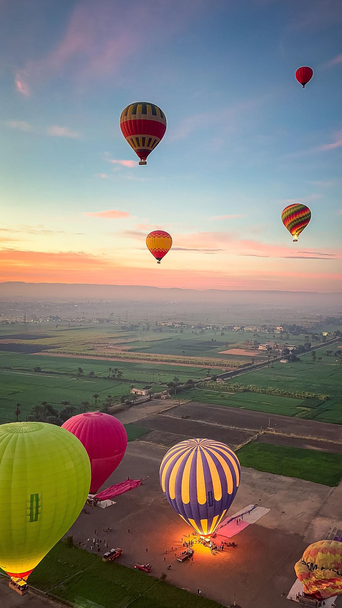 Colorful balloons taking off under pastel pink skies above Luxor's green fields