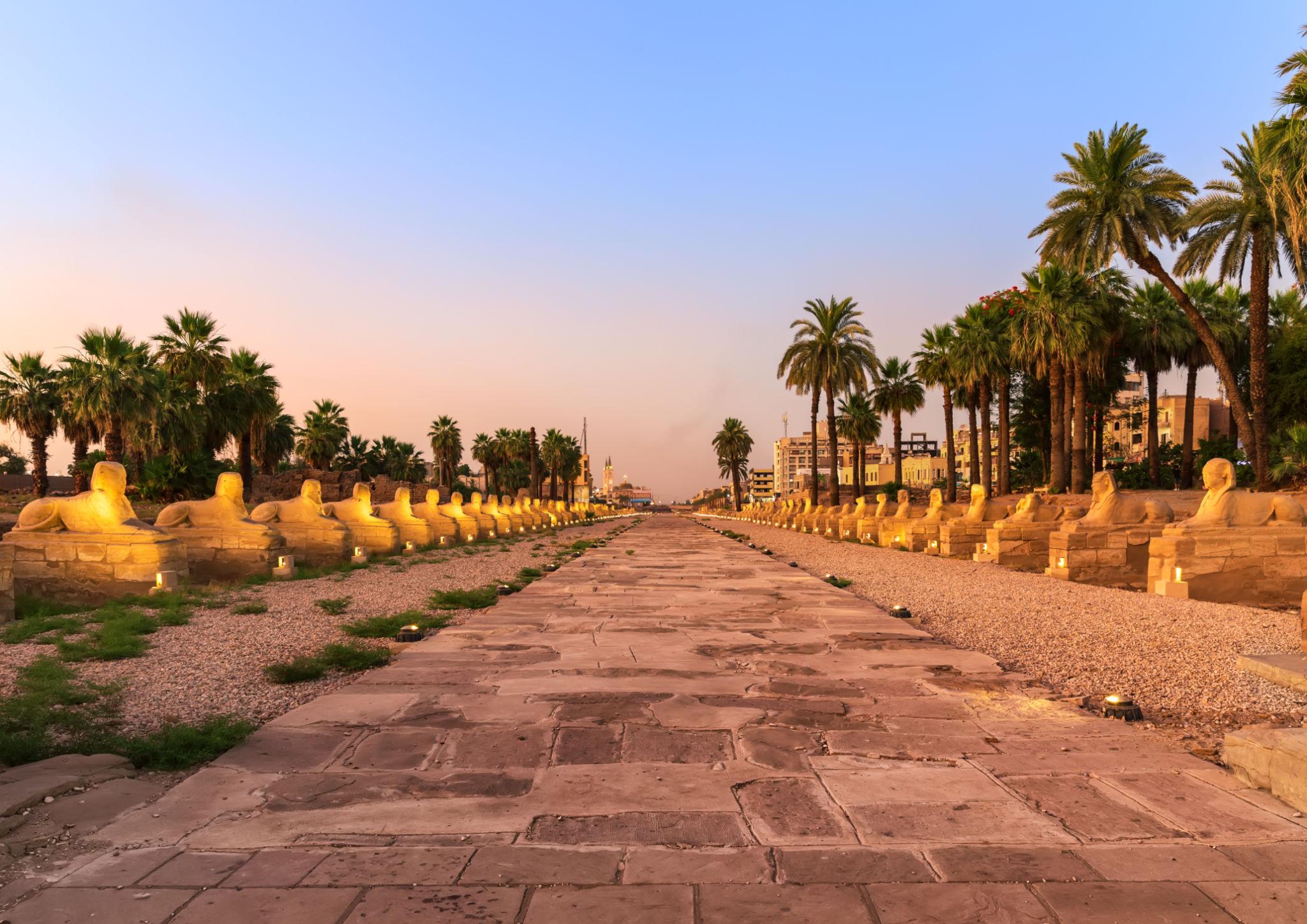 Paved Avenue of Sphinxes stretching between rows of statues at dawn.