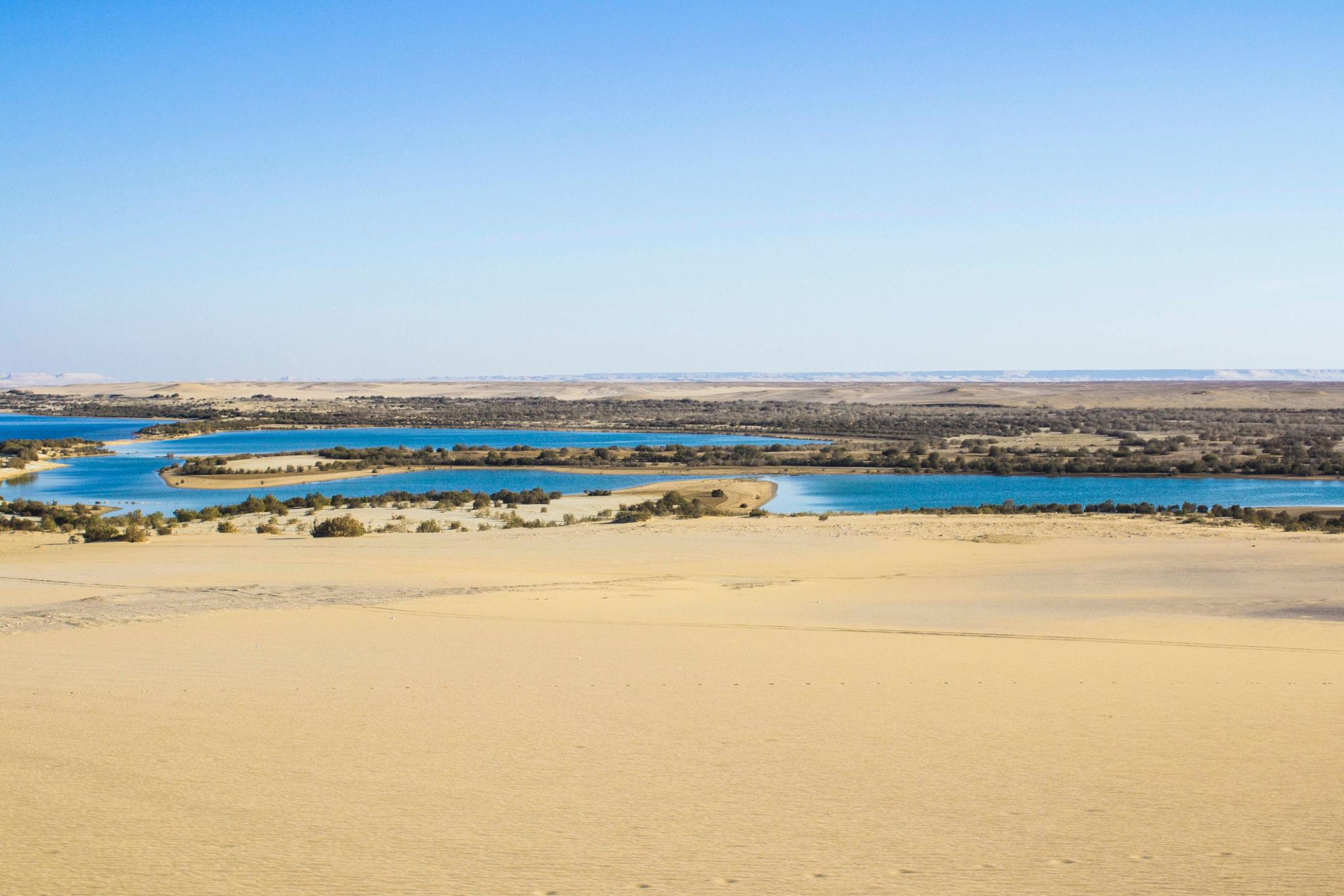 Desert lake meeting sand dunes under a clear blue sky at Wadi El Rayan