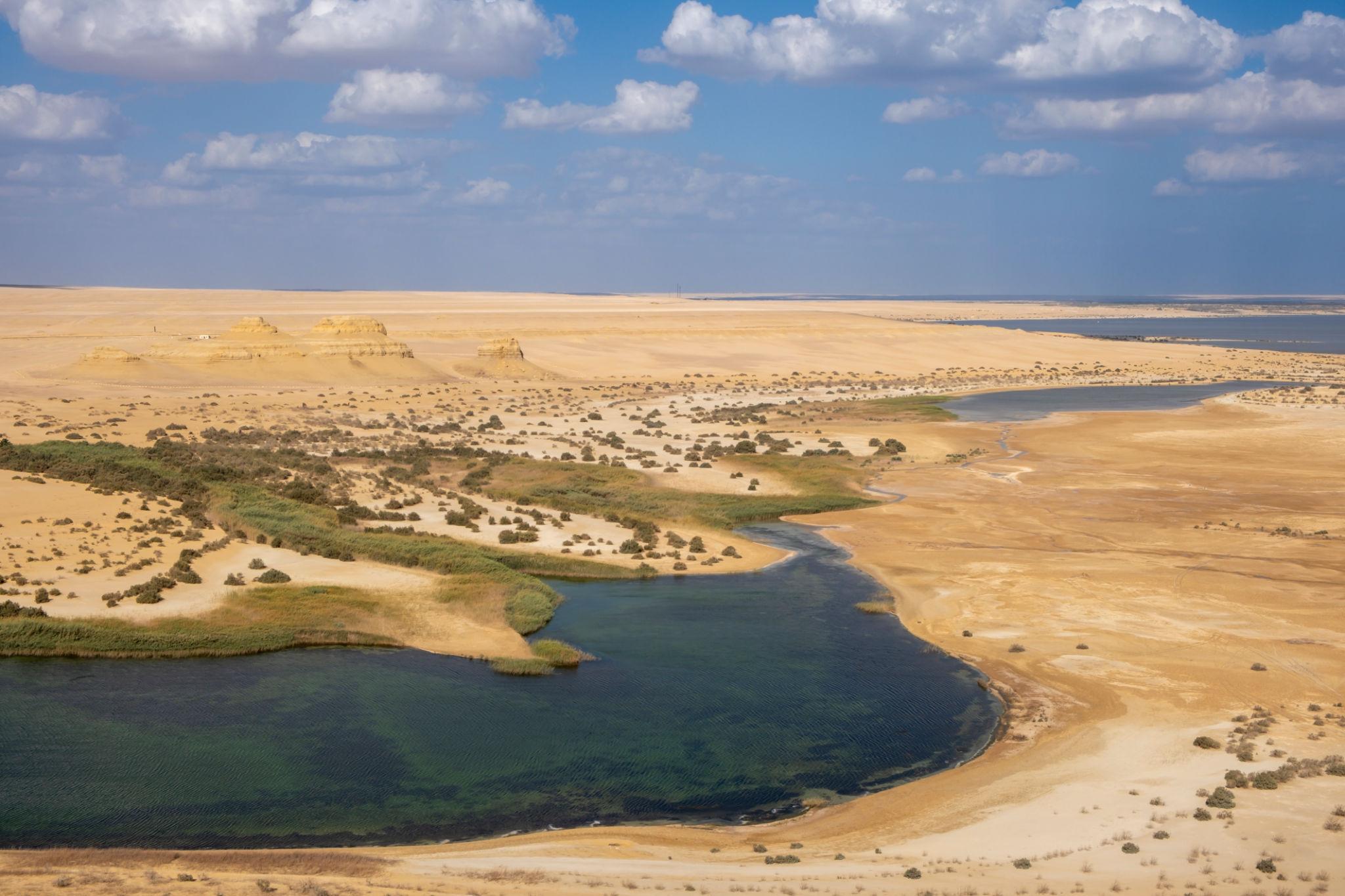 Fayoum oasis landscape with green reeds, dark water channels and dunes
