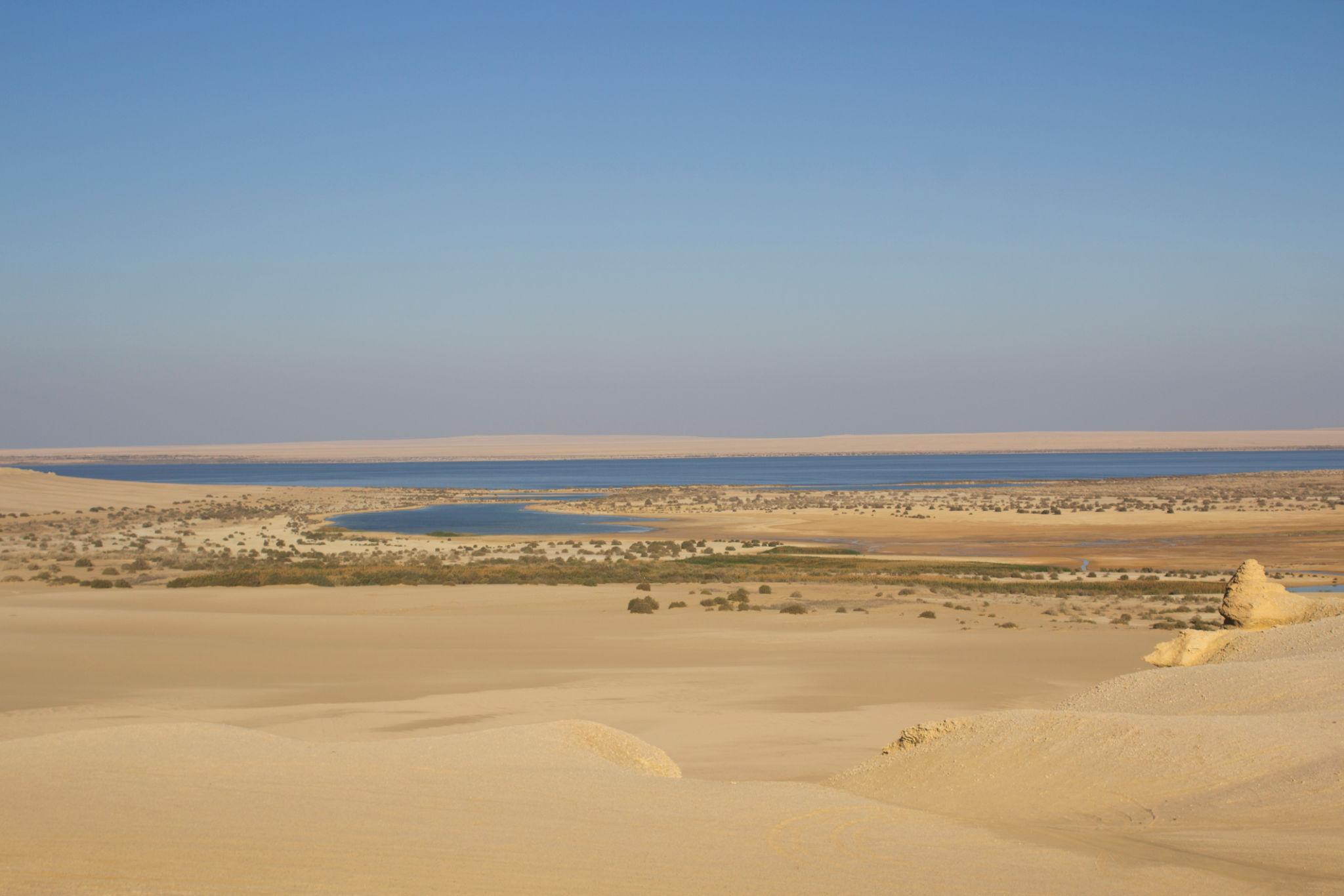Wide desert panorama overlooking Lake Qarun with dunes and scrub
