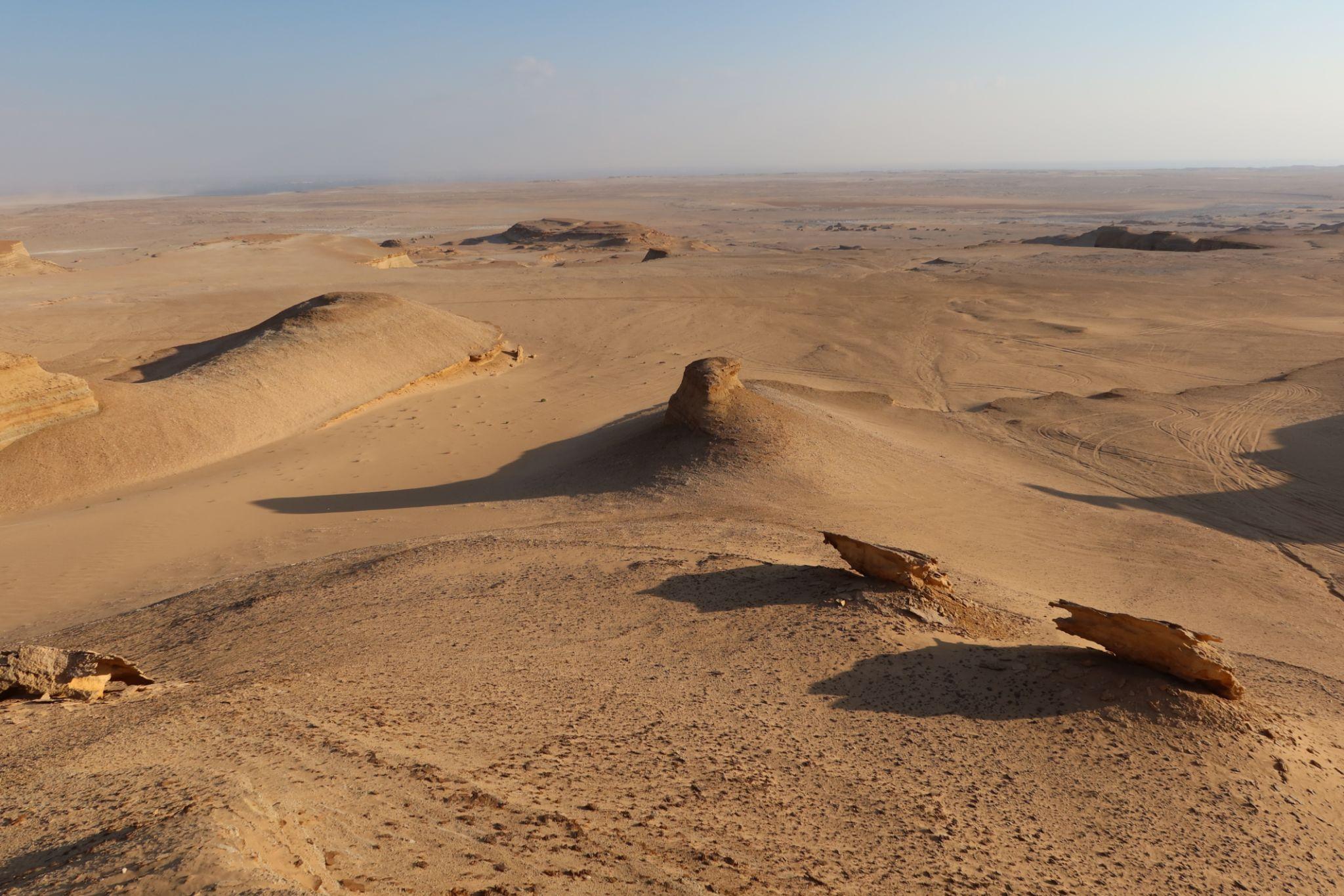 Eroded sandstone formations scattered across the Wadi El Hitan desert