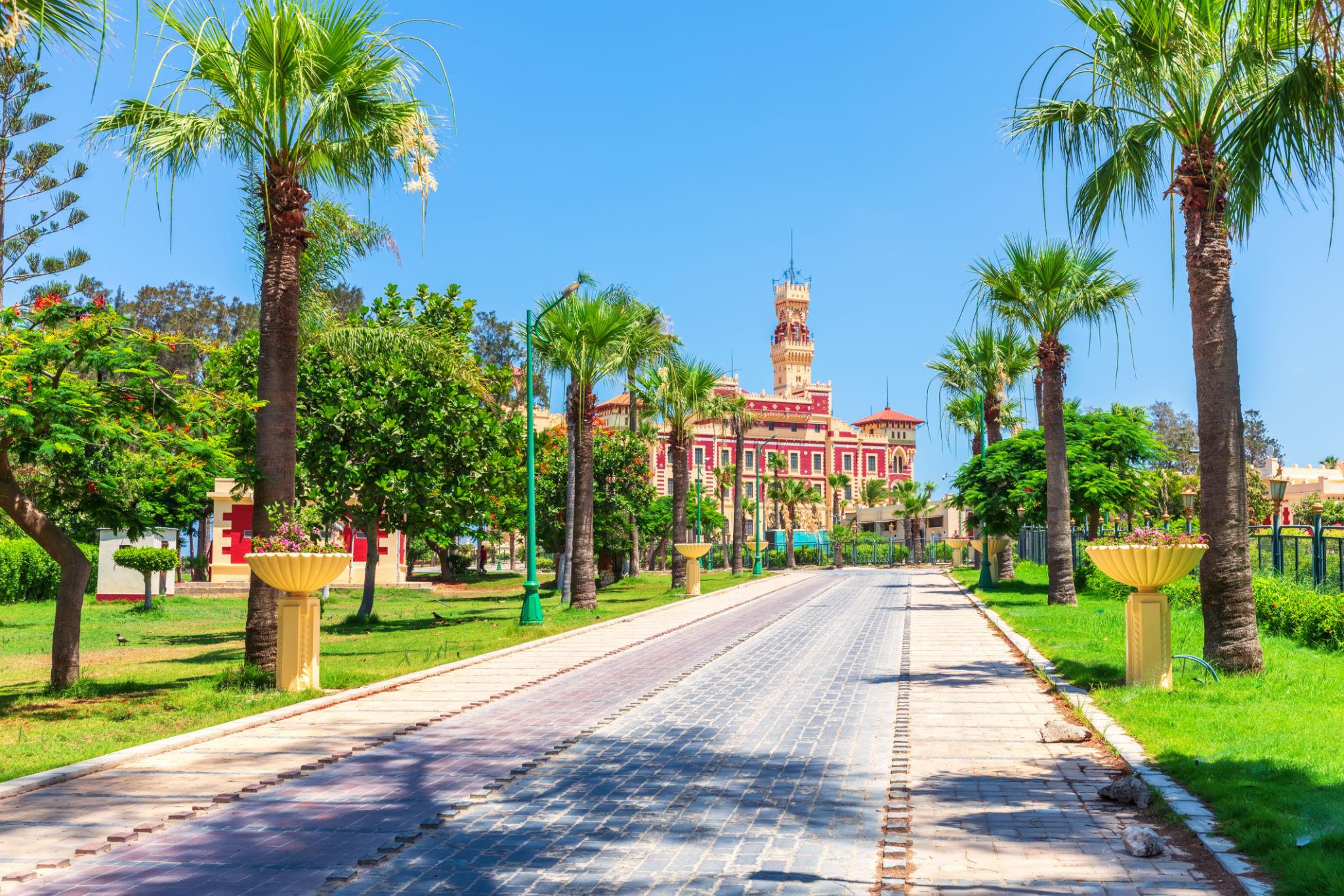 Palm-lined promenade leading toward the Montaza Palace clock tower