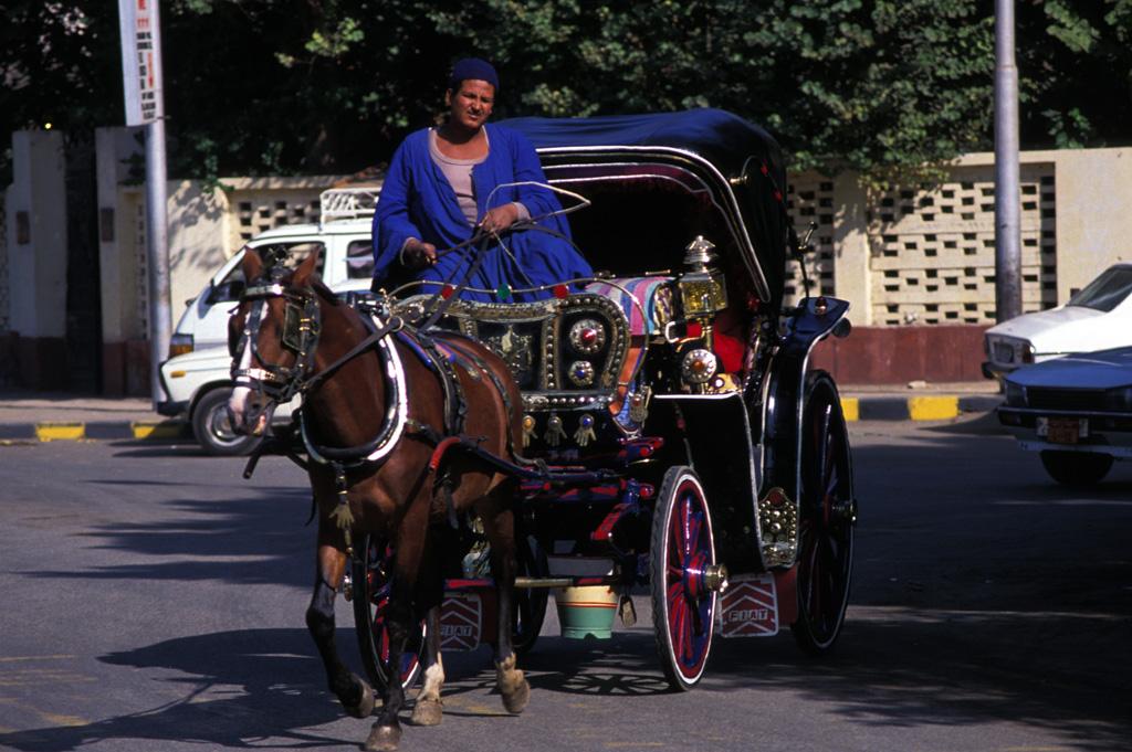 Nubian driver in blue robe steering an ornate horse-drawn carriage through Aswan streets.