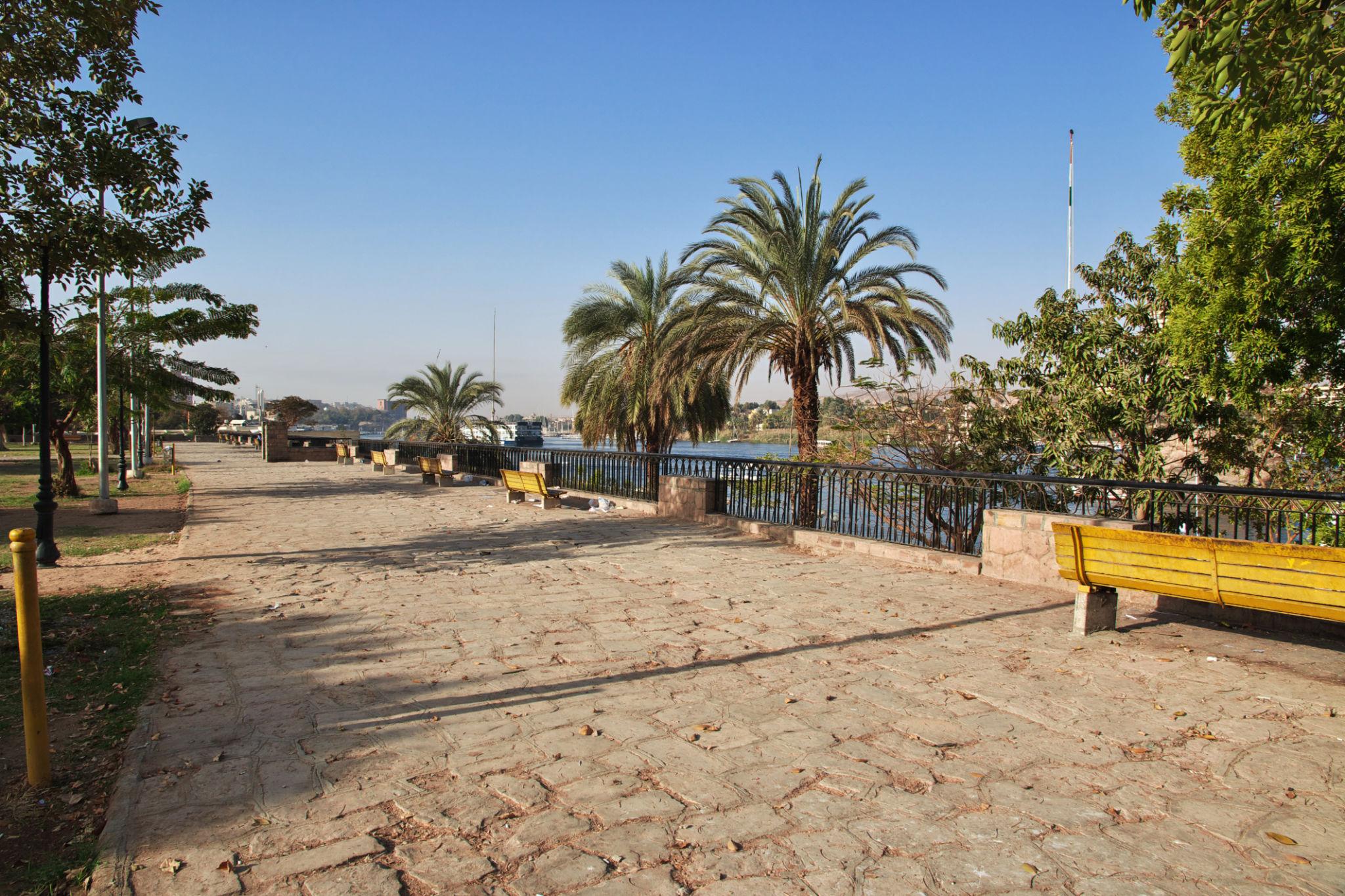 Quiet cobblestone riverside walkway with palm trees beside the Nile in Aswan.