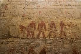 Ancient Egyptian carved relief showing a procession of workers on a limestone wall at Saqqara
