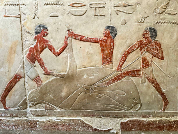 Ancient Egyptian painted relief showing three men restraining and slaughtering a bull.