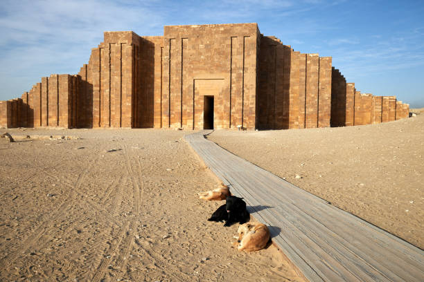 Two dogs resting beside a wooden walkway leading to the ancient stone enclosure wall at Saqqara