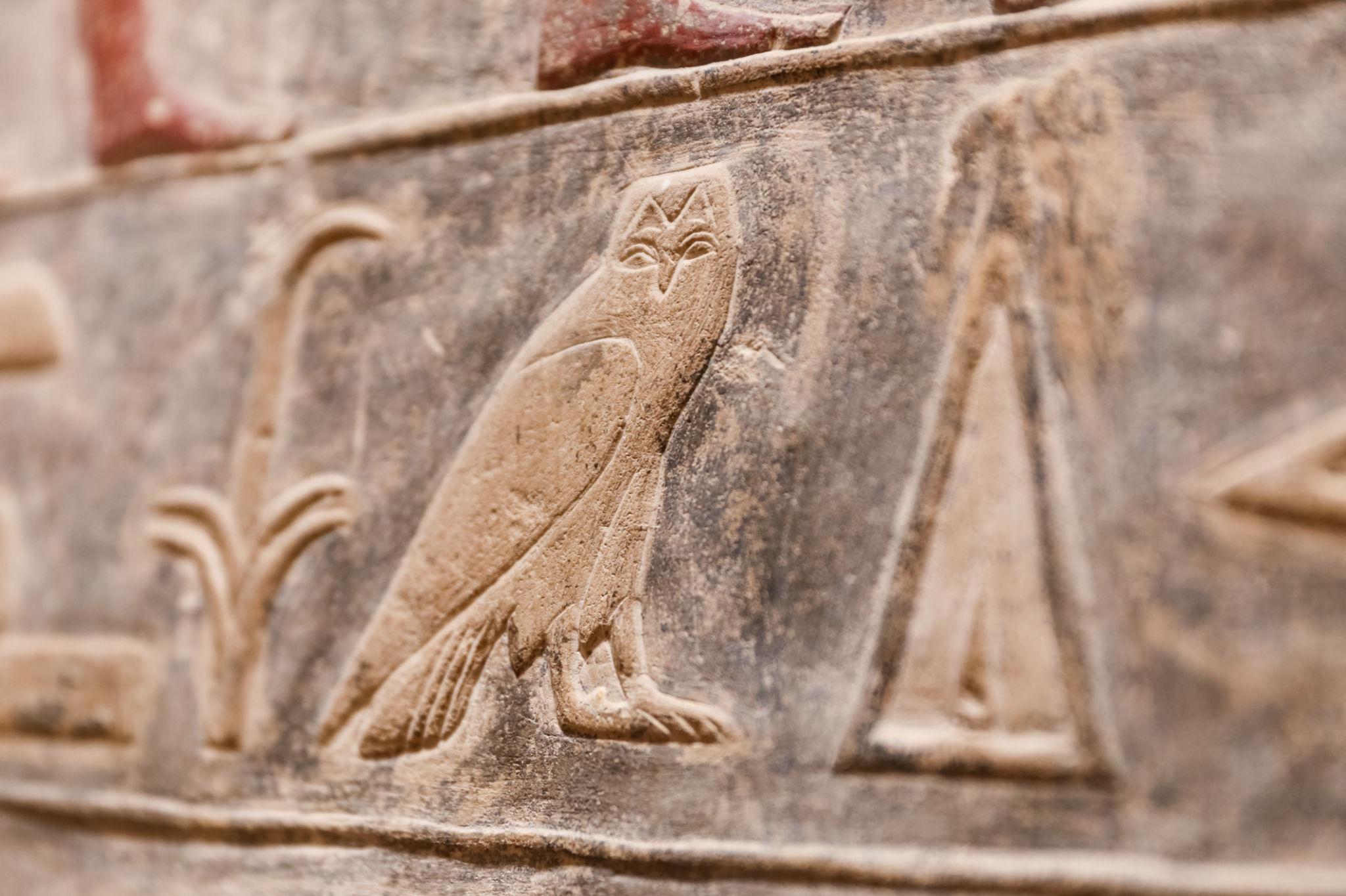Close-up of an ancient Egyptian owl hieroglyph carved into a limestone wall at Saqqara