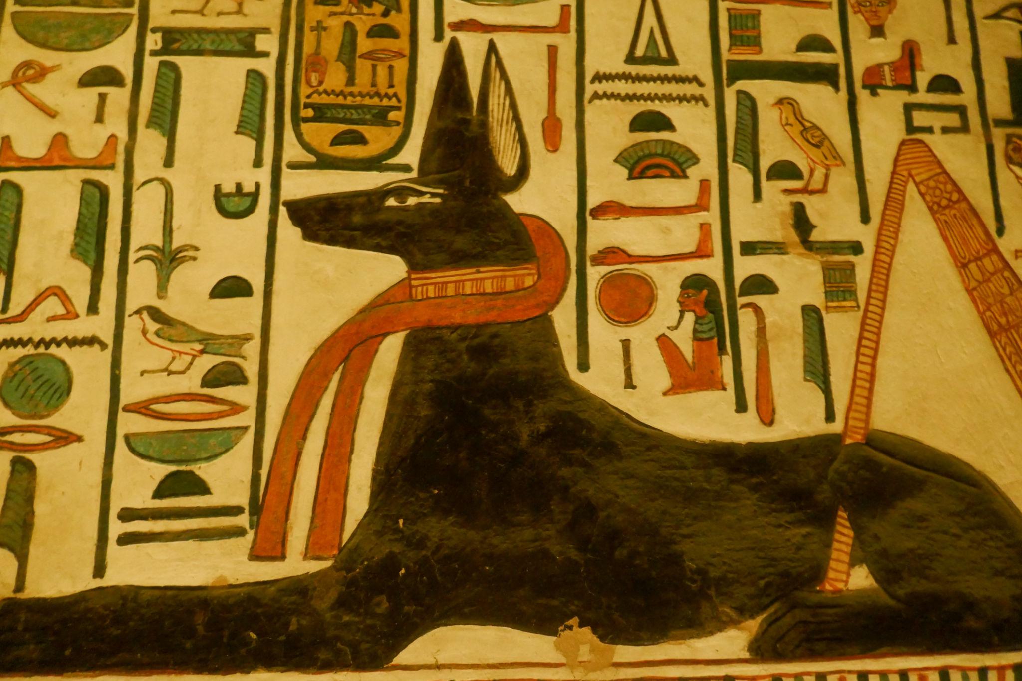 Recumbent Anubis as a black jackal painted on a Valley of the Queens tomb wall.