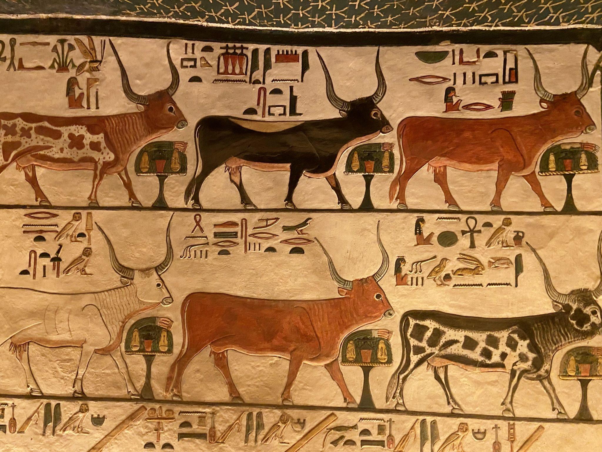 Rows of sacred cattle from the Book of the Dead painted on a tomb wall.