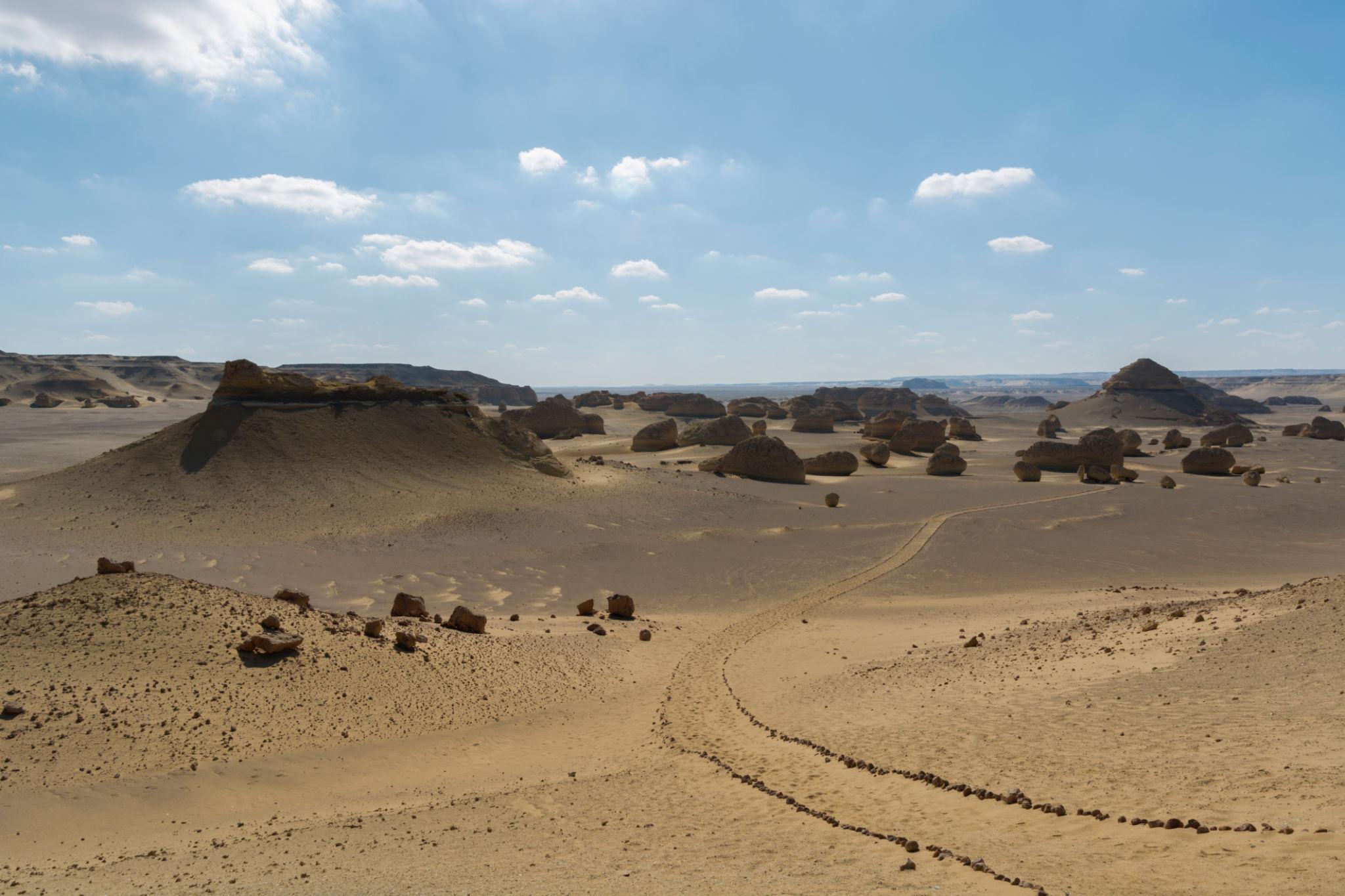 Sweeping landscape of eroded rock formations and a walking trail through the Valley of the Whales