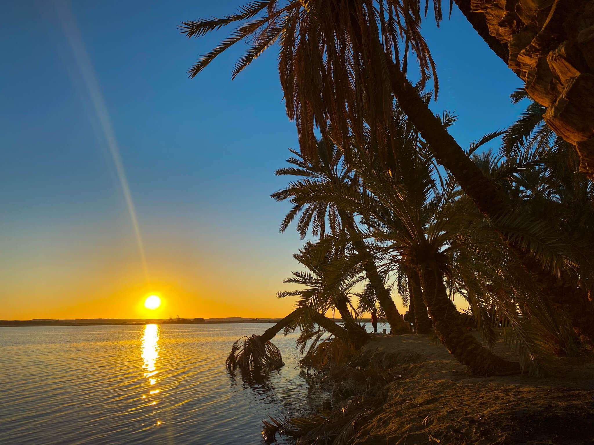 Fatnas Island (Fantasy Island)
