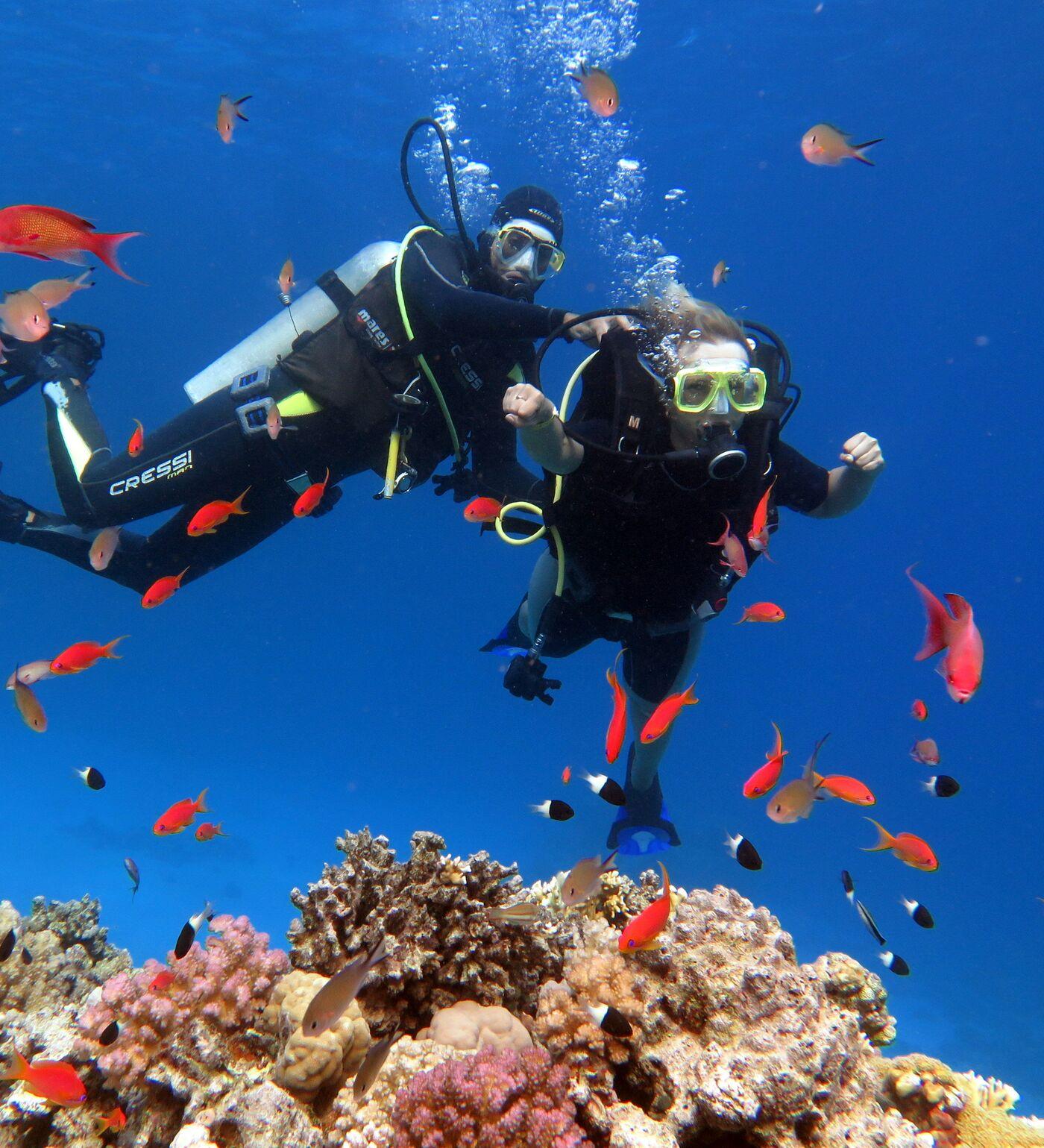 Hurghada Anfänger Tauchkurs - Rotes Meer Schnuppertauchen Erlebnis